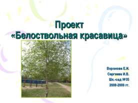Белоствольная красавица