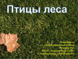 Птицы леса