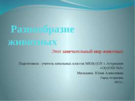 Разнообразие животных. Этот замечательный мир животных