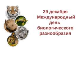 29 декабря - Международный день биологического разнообразия