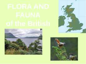 Flora and fauna of the British Isles