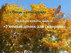 Уютный домик для скворцов