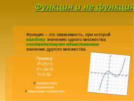 Функция и не функция