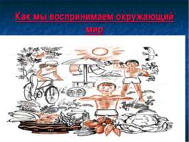 Как мы воспринимаем окружающий мир