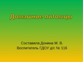 Домашние питомцы