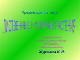 Лиственные и хвойные растения