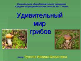 Удивительный мир грибов