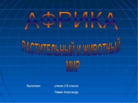 Африка растительный и животный мир