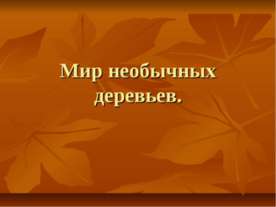 Мир необычных деревьев