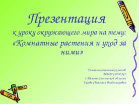 Комнатные растения и уход за ними