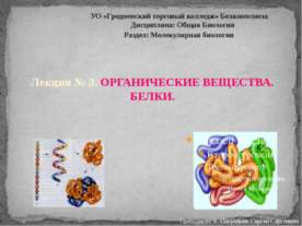 Органические вещества. Белки