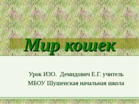 Мир кошек