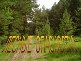 Лесные опасности