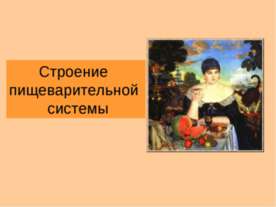 Строение пищеварительной системы
