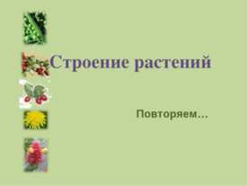 Строение растений
