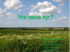 Что такое луг?