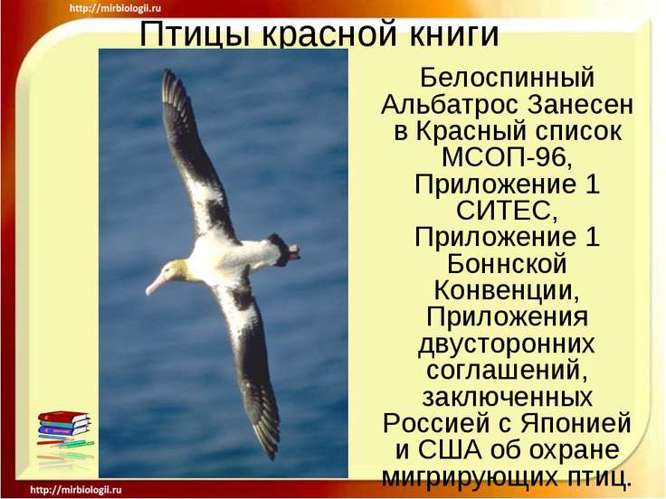красная книга россии птицы с картинками Книга с россии картинками красная птицы