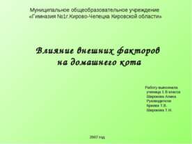 Влияние внешних факторов на домашнего кота