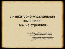 Мы не стреляли