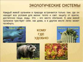 Экологические системы