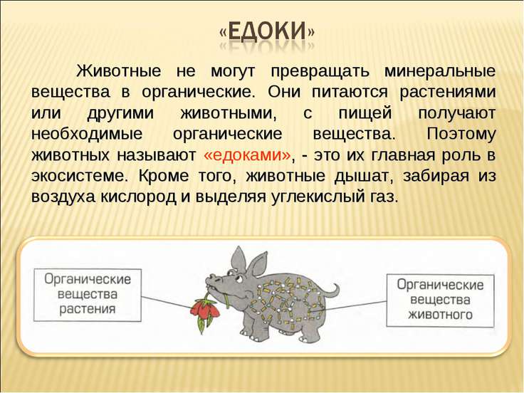 Экологические системы презентация