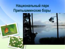 Национальный парк Припышминские боры