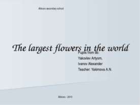 The largest flowers in the world
