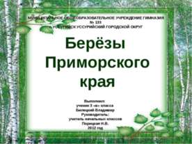 Берёзы Приморского края