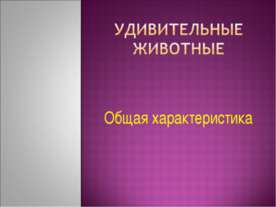 Удивительные животные. Общая характеристика