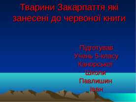 тварини закарпаття