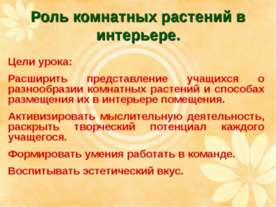 Роль комнатных растений в интерьере
