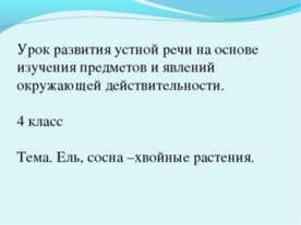 Ель, сосна –хвойные растения