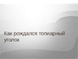 Как рождался топиарный уголок