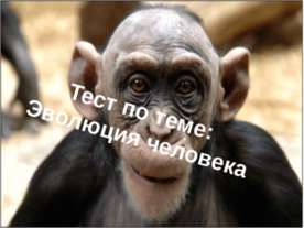 Тест по теме «Эволюция человека»