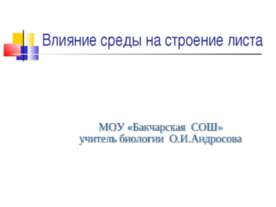 Влияние среды на строение листа