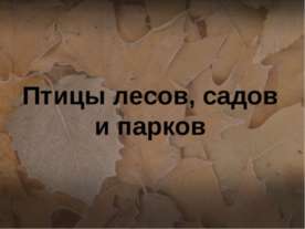 Птицы лесов, садов и парков