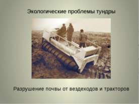 Экологические проблемы тундры