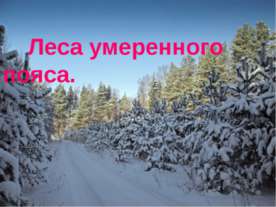 Леса умеренного пояса