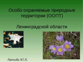Заповедники и заказники Ленинградской области