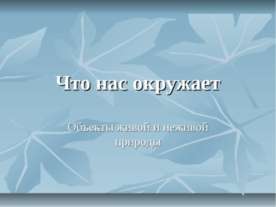 Что нас окружает (Объекты живой и неживой природы)