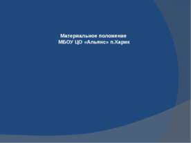 Материальное положение МБОУ ЦО «Альянс» п.Харик