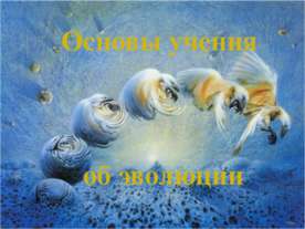 Основы учения об эволюции