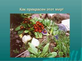 Как прекрасен этот мир!