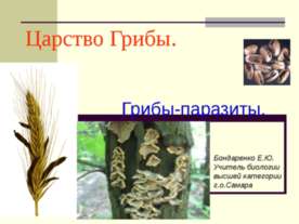 Царство Грибы. Грибы-паразиты