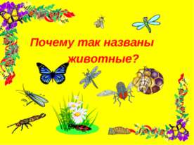Почему так названы животные?