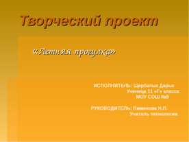 Творческий проект «Летняя прогулка»