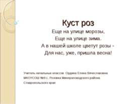 Куст роз