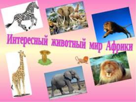 Интересный животный мир Африки