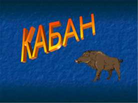 Кабан