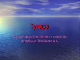 Тундра